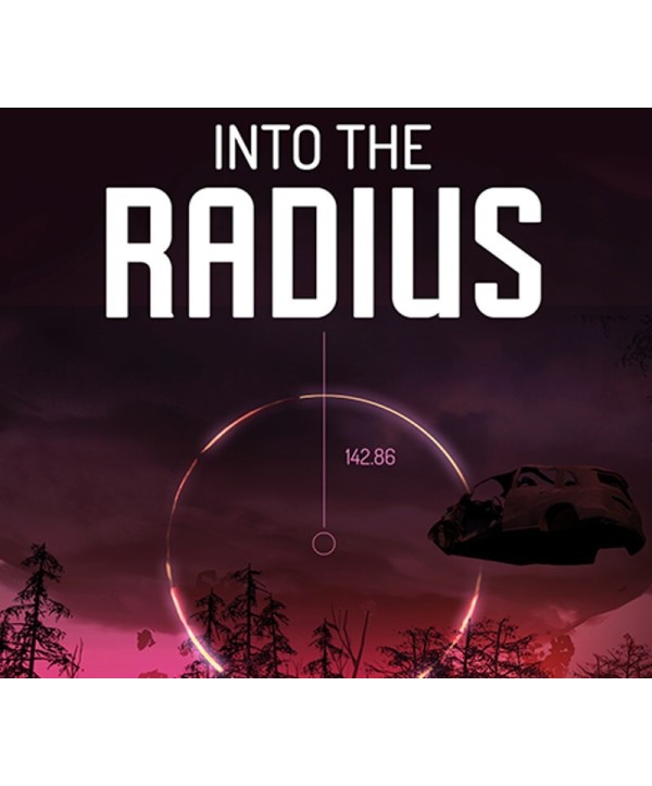 Into the Radius VR MENA Steam Key 